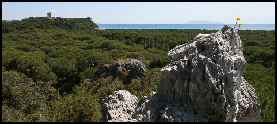 img00065.jpg