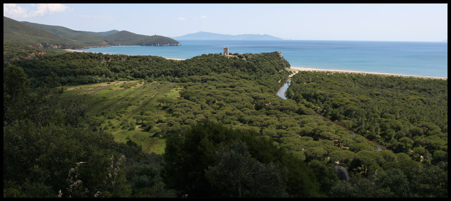 img00067.jpg